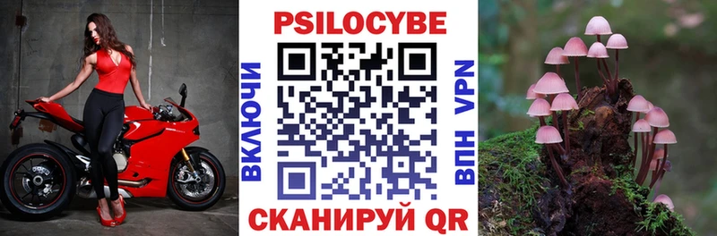цены   ОМГ ОМГ ССЫЛКА  Псилоцибиновые грибы прущие грибы  Урень 